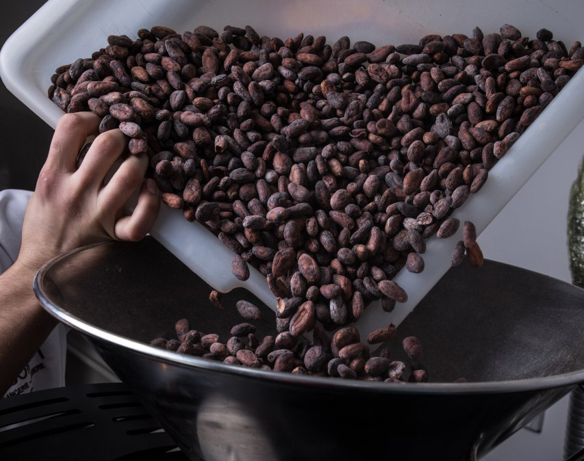 Что такое какао-бобы и где их выращивают?