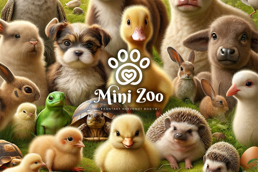 В Ташкенте открылся контактный зоопарк MiniZoo