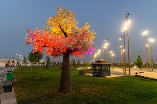 Toshkentda hafta davomida nisbatan salqin havo saqlanib qoladi