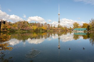 На выходных в Ташкенте температура поднимется выше +30°