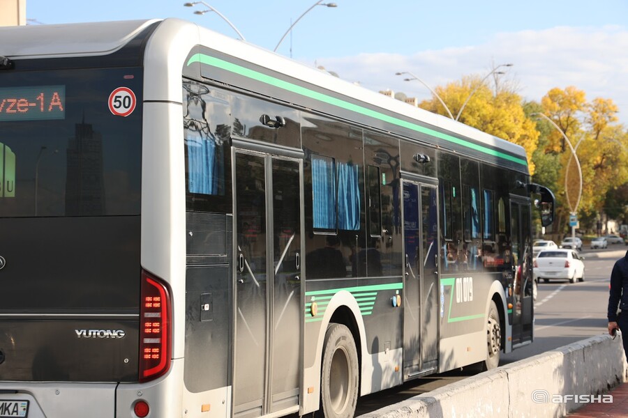 Ayrim shaxslarga temir yo‘l transporti va avtobus uchun bepul chiptalar beriladi