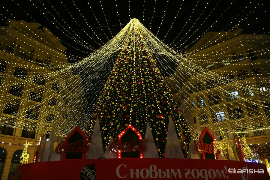 Foto: Tashkent City Park`da qad rostlagan archalar