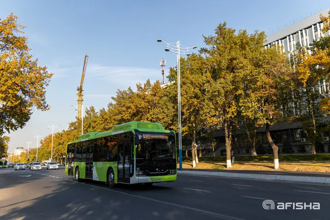 Toshkentda 2024-yilda avtobusdan foydalanuvchilar soni ikki baravardan koʻproqqa ortdi